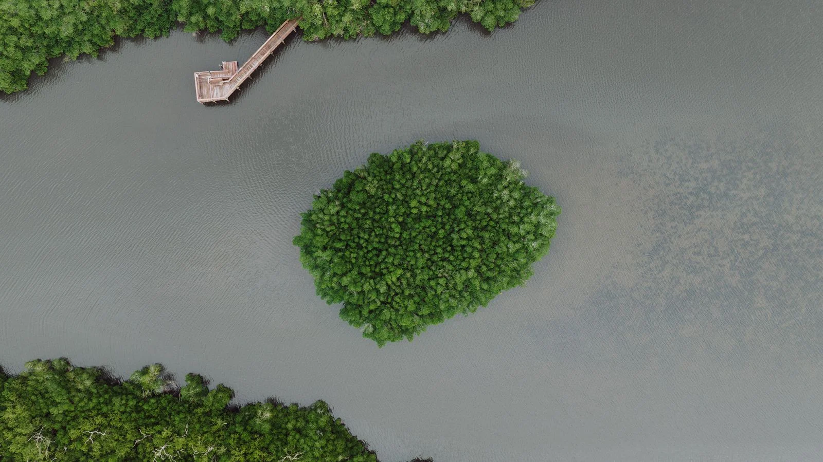 Aerial view of a mangrove island and wooden pier in Fort Pierce